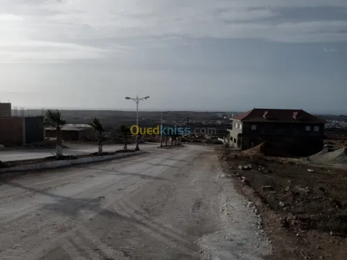 Vente Terrain Mostaganem Hassi maameche