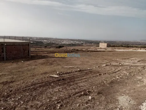 Vente Terrain Mostaganem Hassi maameche
