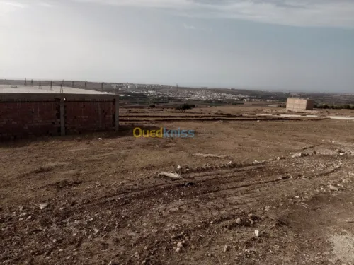 Vente Terrain Mostaganem Hassi maameche