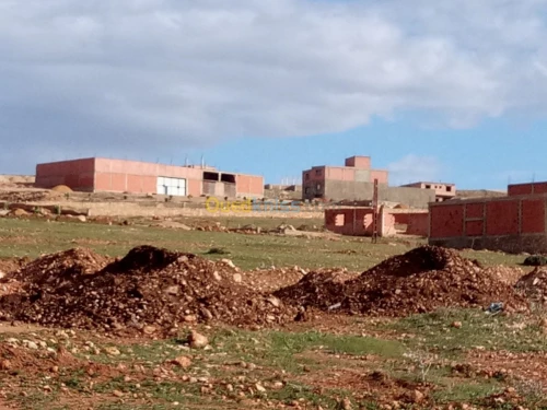 Vente Terrain Mostaganem Hassi maameche