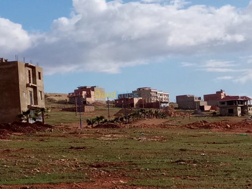 Vente Terrain Mostaganem Hassi maameche