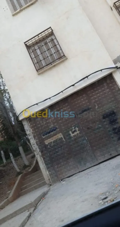 Location Local Alger Zeralda