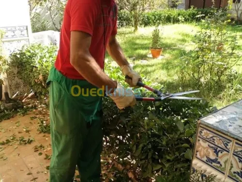 Aménagement des éspaces verts