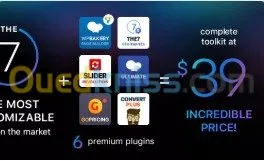 Vente de tout types de templates