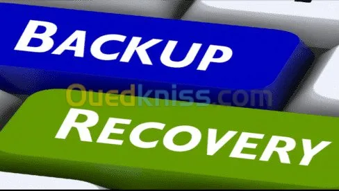 Logiciel de récupération  des données