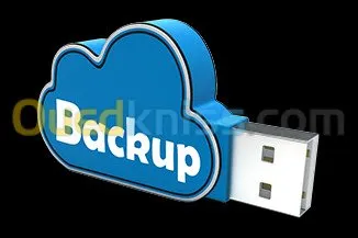 Logiciel de récupération  des données