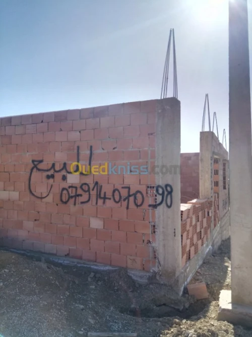 Vente Carcasse Relizane Ammi moussa