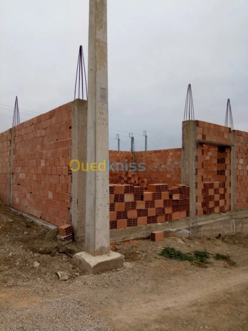 Vente Carcasse Relizane Ammi moussa