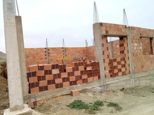 Vente Carcasse Relizane Ammi moussa