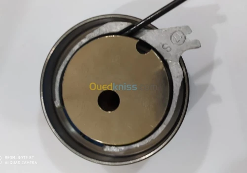 TENDEUR COURROIE+CHAINE LANDSCPE DSL