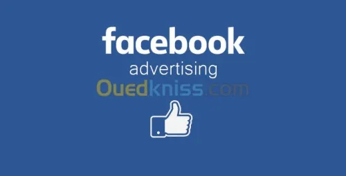 Publicité Facebook, Instagram