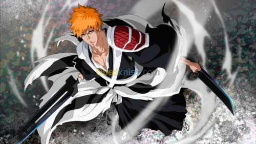 Intégrale Naruto one piece bleach 