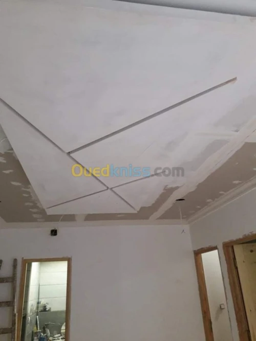 BA13  Plaque de platre 