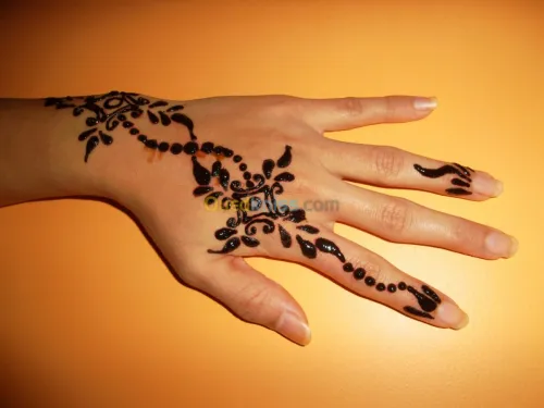 Tatoo henna pour vox fete 