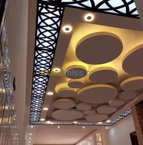ba13 faux plafond , separation , pvc