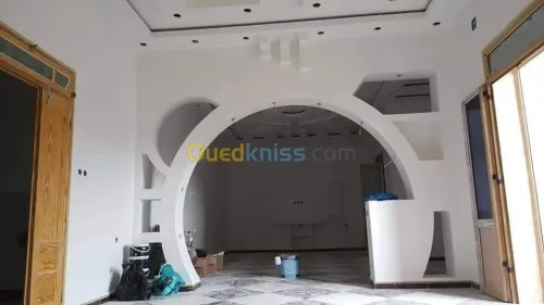 ba13 faux plafond , separation , pvc