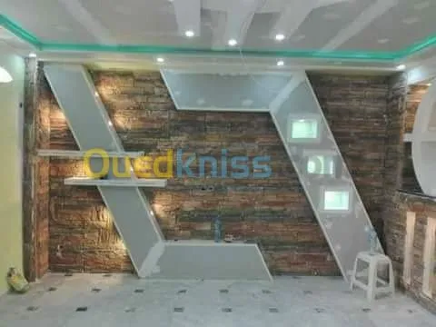 ba13 faux plafond , separation , pvc