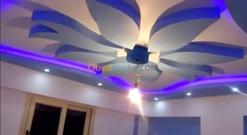 ba13 faux plafond , separation , pvc