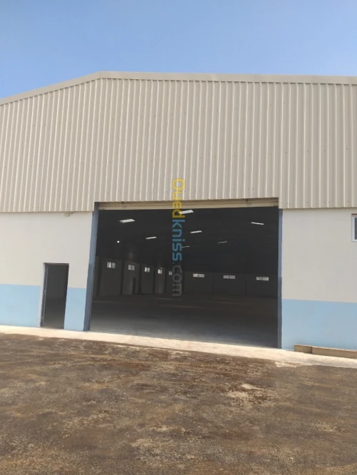 Location Hangar Boumerdes Boudouaou