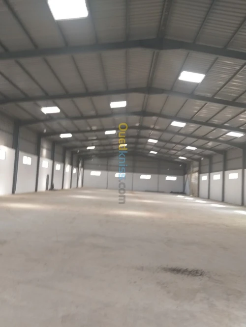 Location Hangar Boumerdes Boudouaou