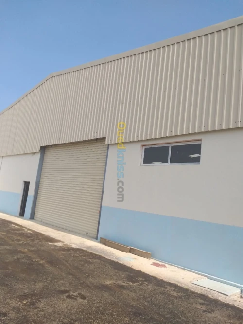 Location Hangar Boumerdes Boudouaou