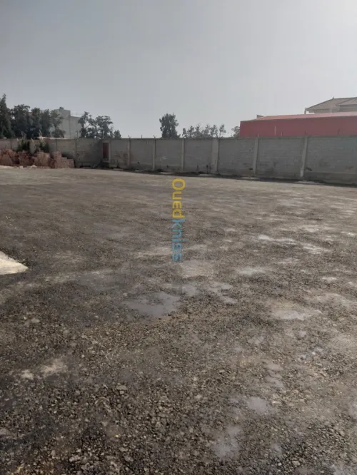 Location Hangar Boumerdes Boudouaou