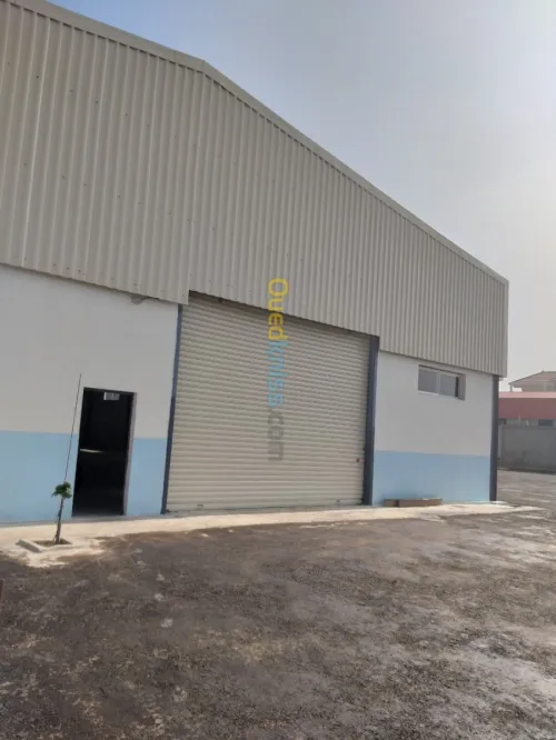 Location Hangar Boumerdes Boudouaou