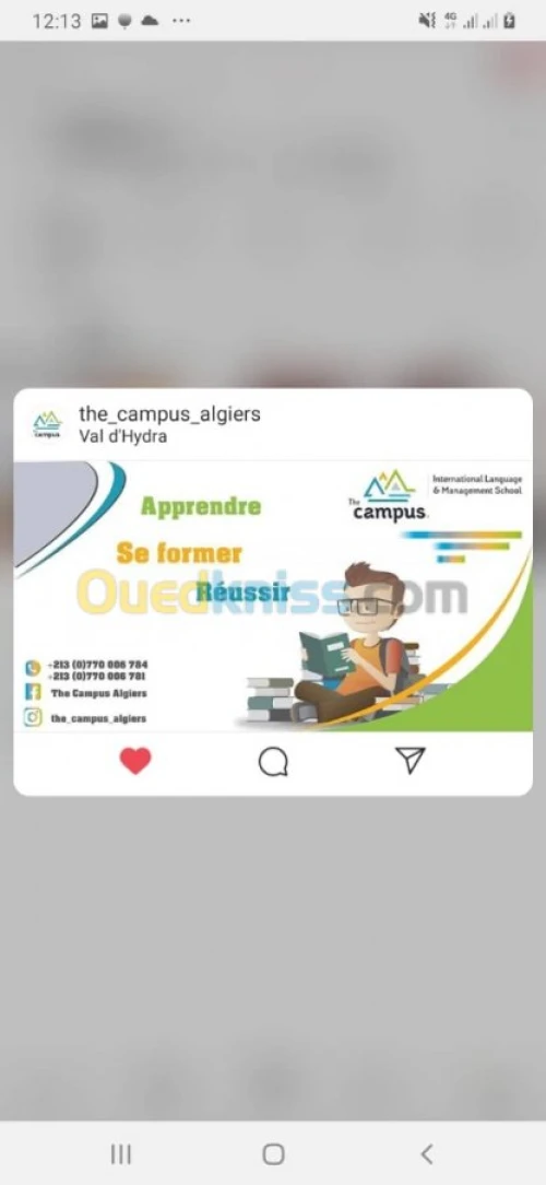 Manager de Page Professionnel 