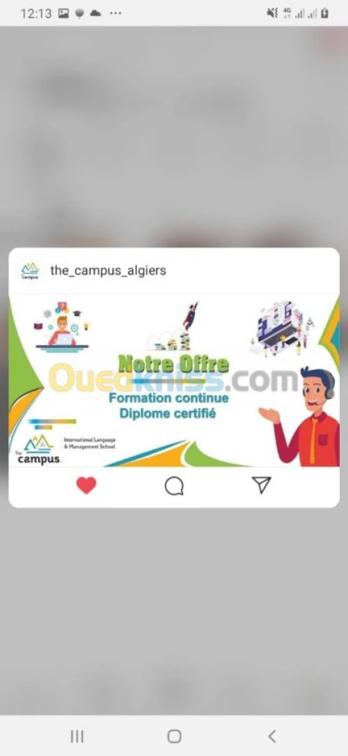 Manager de Page Professionnel 