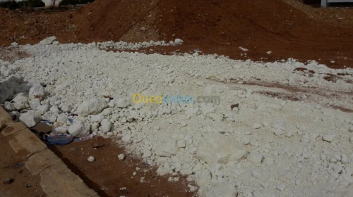 Vente Terrain Mostaganem Sidi lakhdaara