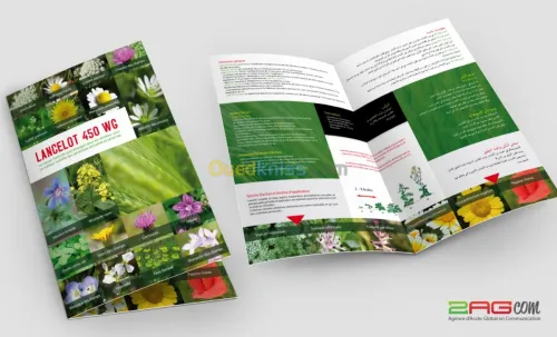 travaux d'impression