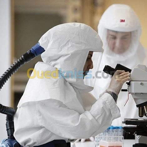 Protection de la tête  3M 