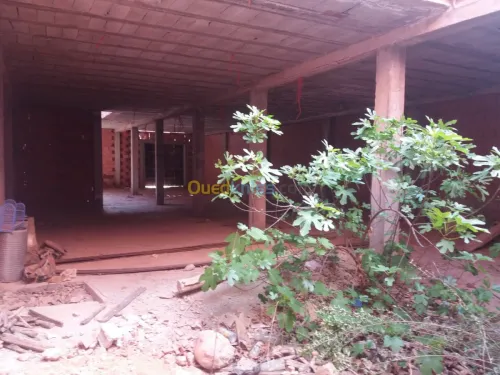 Vente Carcasse Mascara Ain fekan