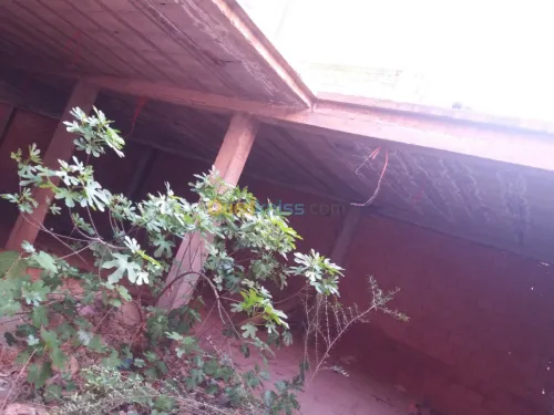 Vente Carcasse Mascara Ain fekan