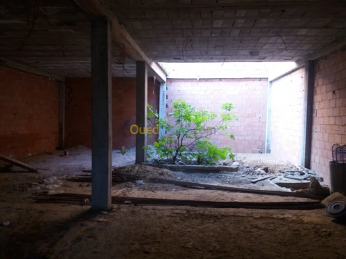 Vente Carcasse Mascara Ain fekan