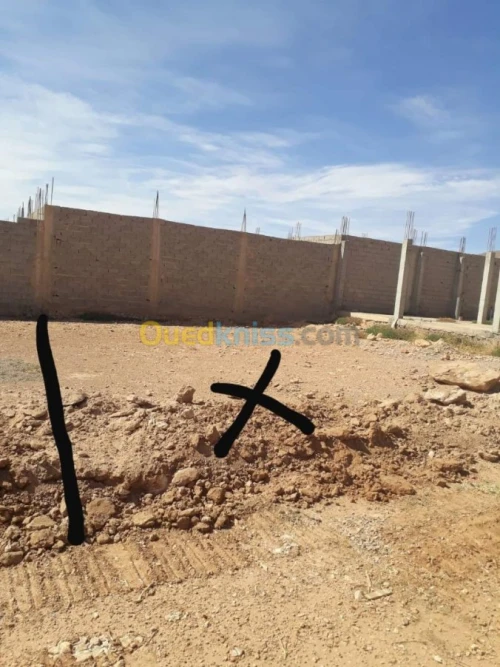 Location Terrain Naama Mecheria