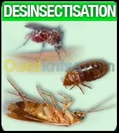 désinsectisation & dératisation 