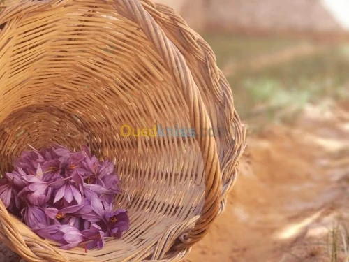 Sfron الزعفران الحر