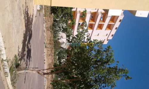 Vente Appartement F3 Chlef Tenes