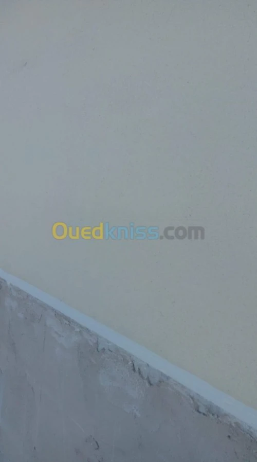 Décoration extérieure monocouche 