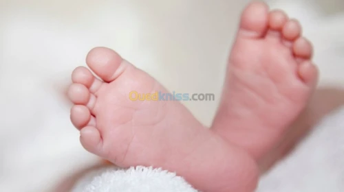 Traitement sterilité PRP علاج العقم