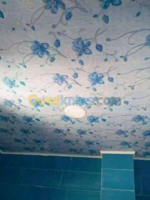 Déco placo plâtre, Pvc, forex, peintur