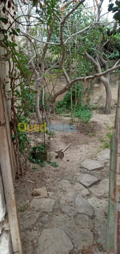 Vente bien immobilier Ain temouchent Oued berkeche