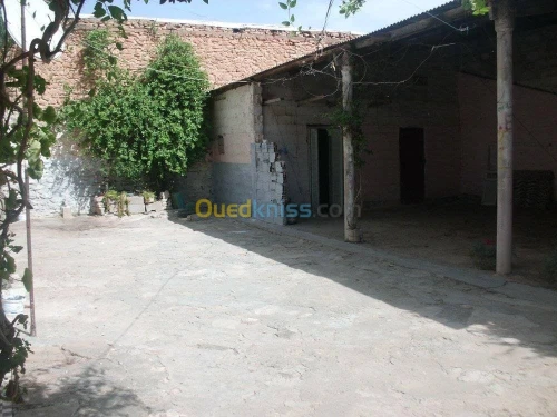 Vente bien immobilier Ain temouchent Oued berkeche