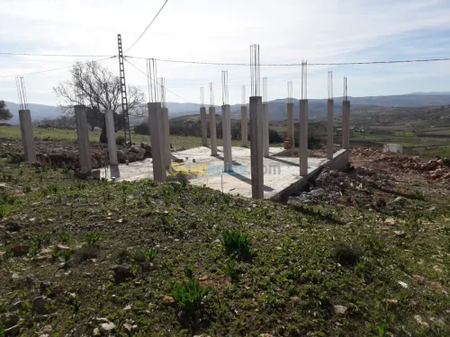 Vente Carcasse Tlemcen Souahlia