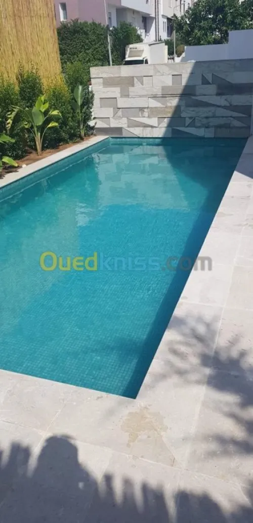 Rèalisation des piscine moderne