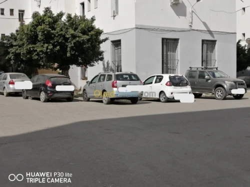 Vente Local Alger Sidi mhamed