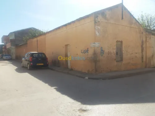 Vente Terrain Mostaganem Sour