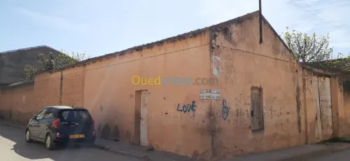 Vente Terrain Mostaganem Sour