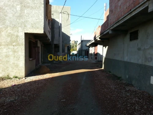 Vente Terrain Alger Les eucalyptus